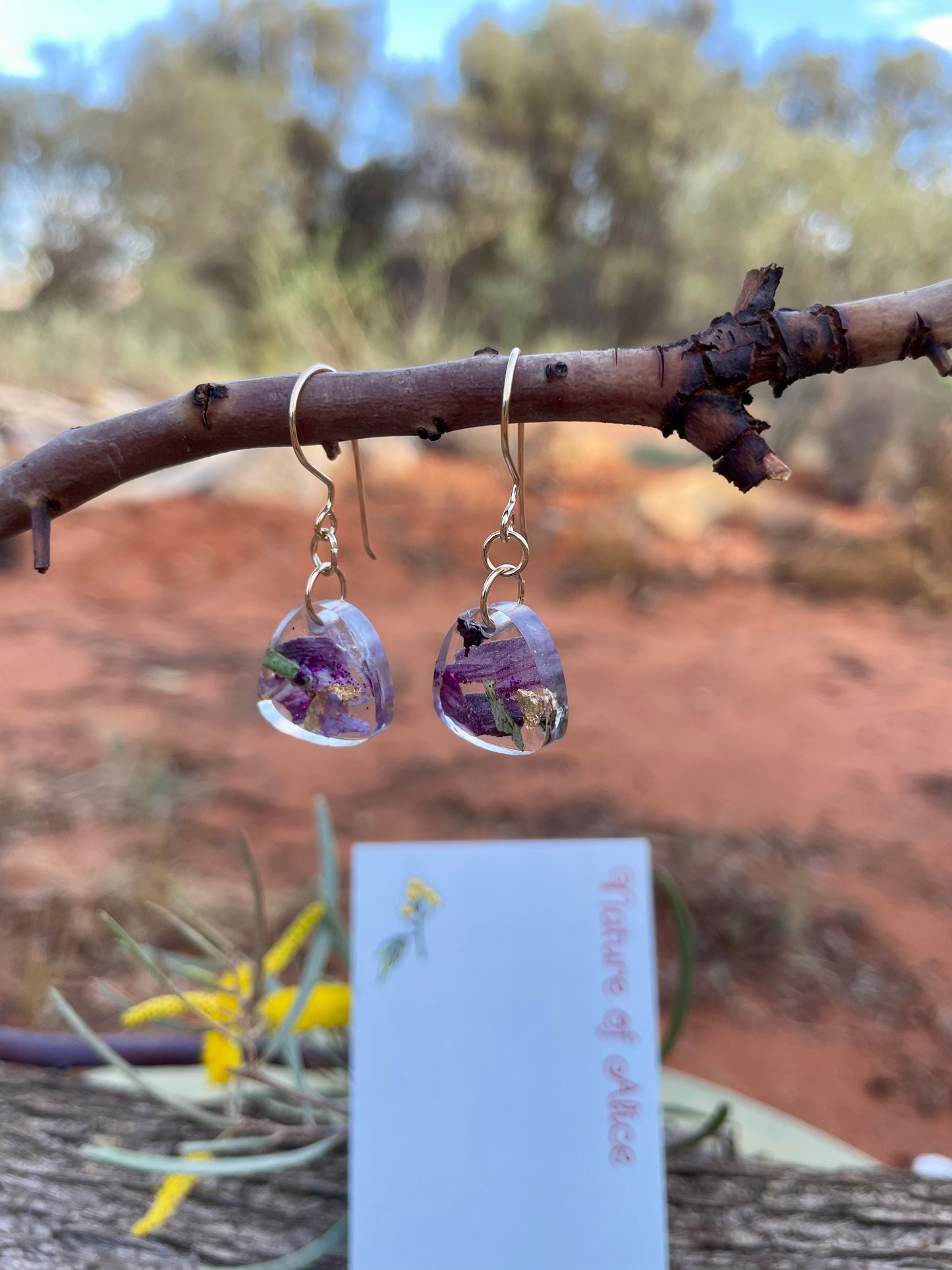 Sturt's Desert Rose