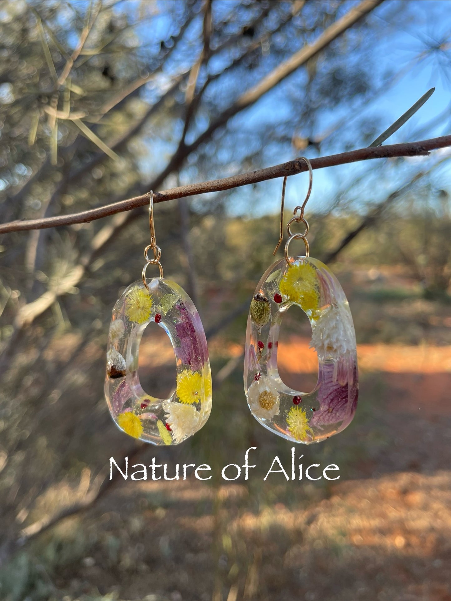 Central Australian Wildflower earrings - Oval