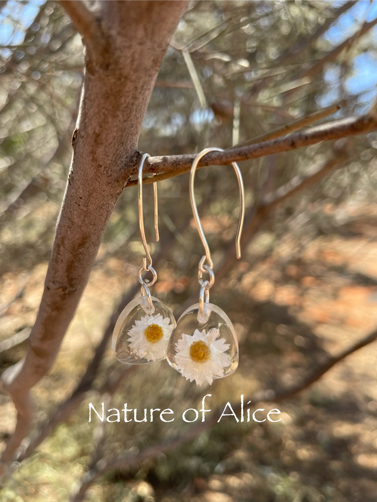 The White Paper Daisy