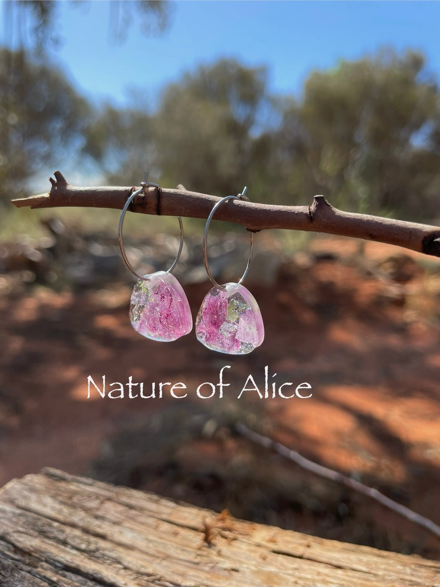 Sturt's Desert Rose