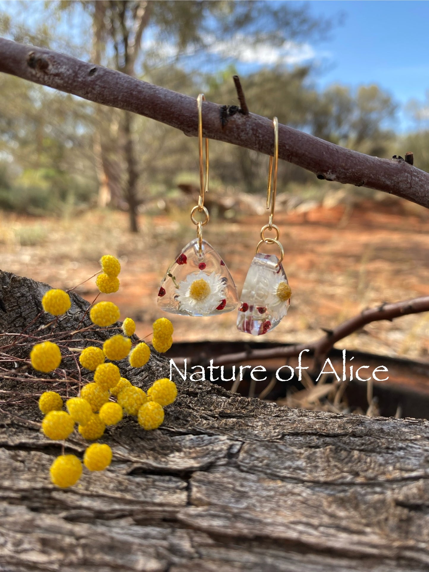 White Paper Daisy & Saltbush Berry Drop