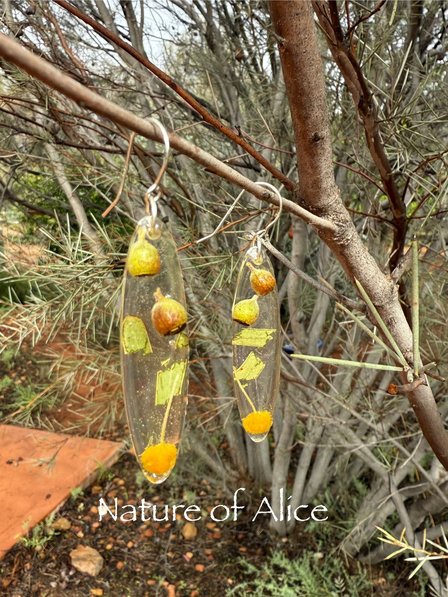 Golden wattle and gumnut earrings