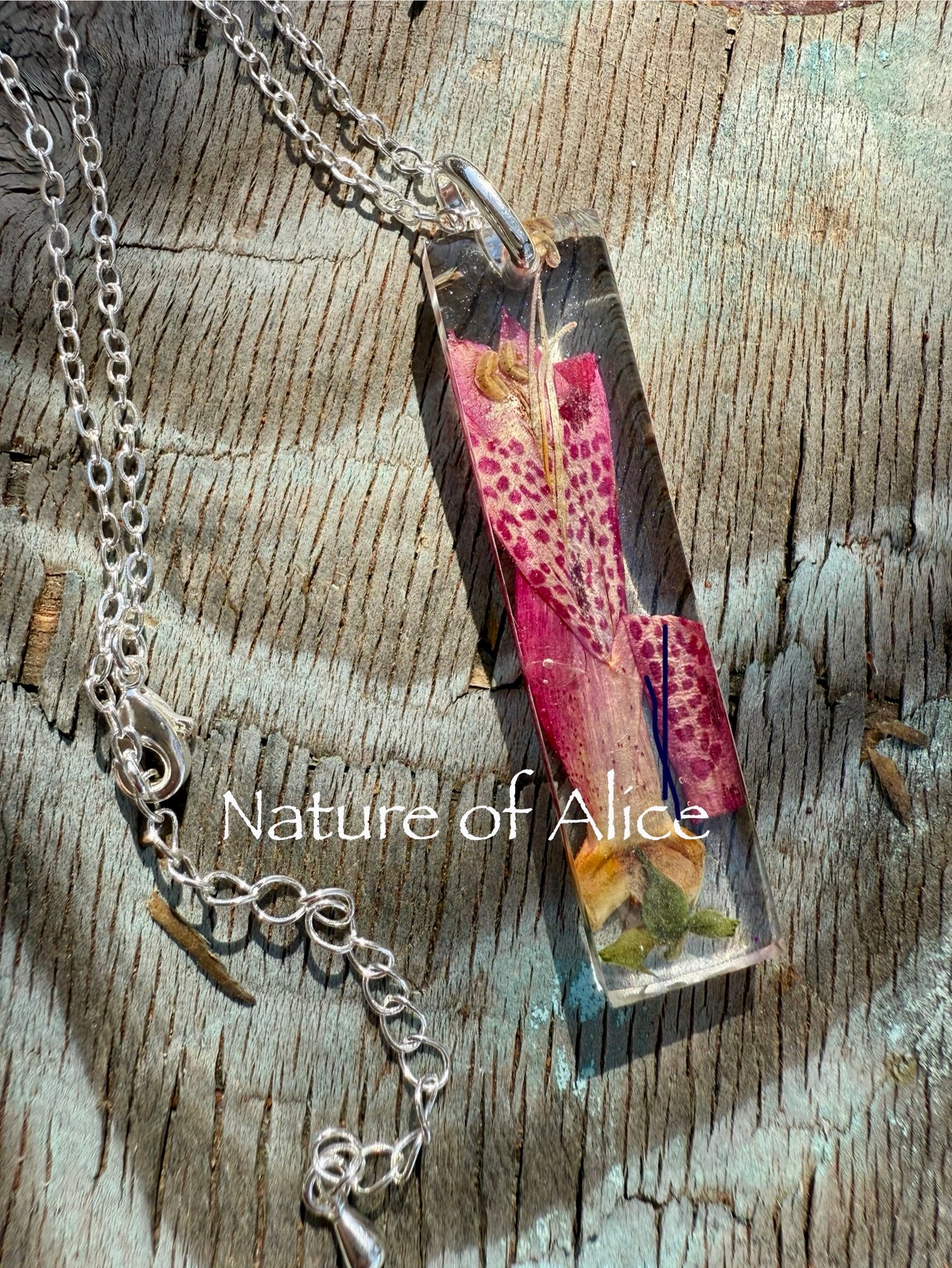 Eremophila - Emu Bush