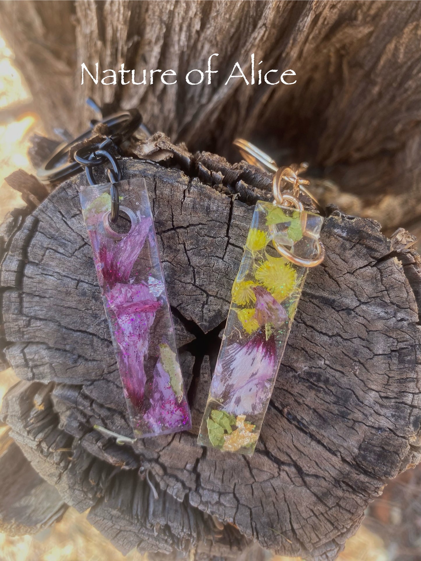 Wildflowers, keyring, keychain,white paper daisy, yellow button, Sturt's Desert Rose, eucalypt mallee, gold, red centre, Alice Springs, Northern Territory, Floral