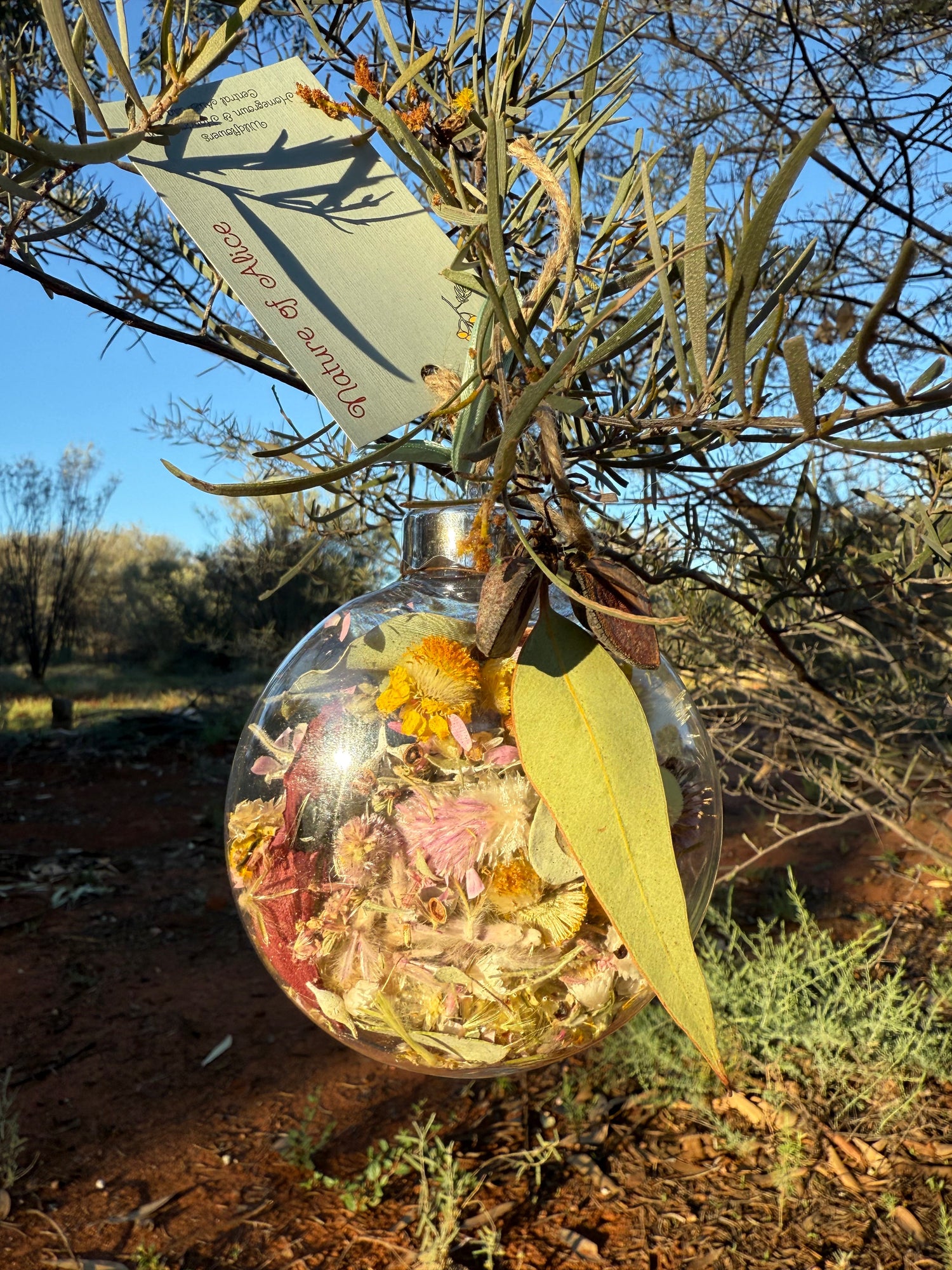 Wildflower, Bauble, Christmas, Homegrown by nature, Alice Springs