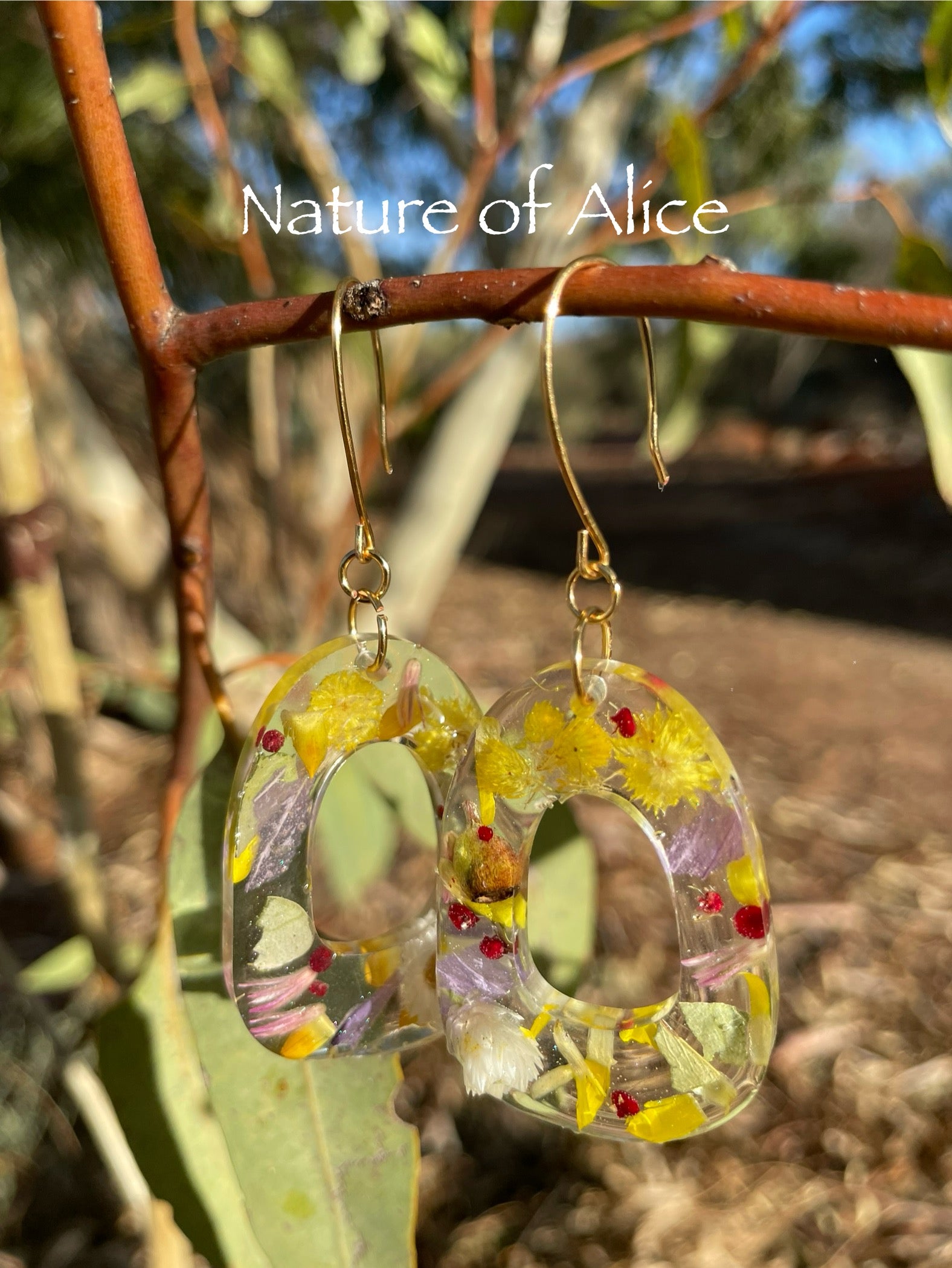 Yellow button, billy button, white paper daisy, nodding saltbush, mulla mulla, gumnut, eucalypt, everlasting daisy, oval, earrings, gold, wildflowers, Central Australia, Alice Springs, Northern Territory