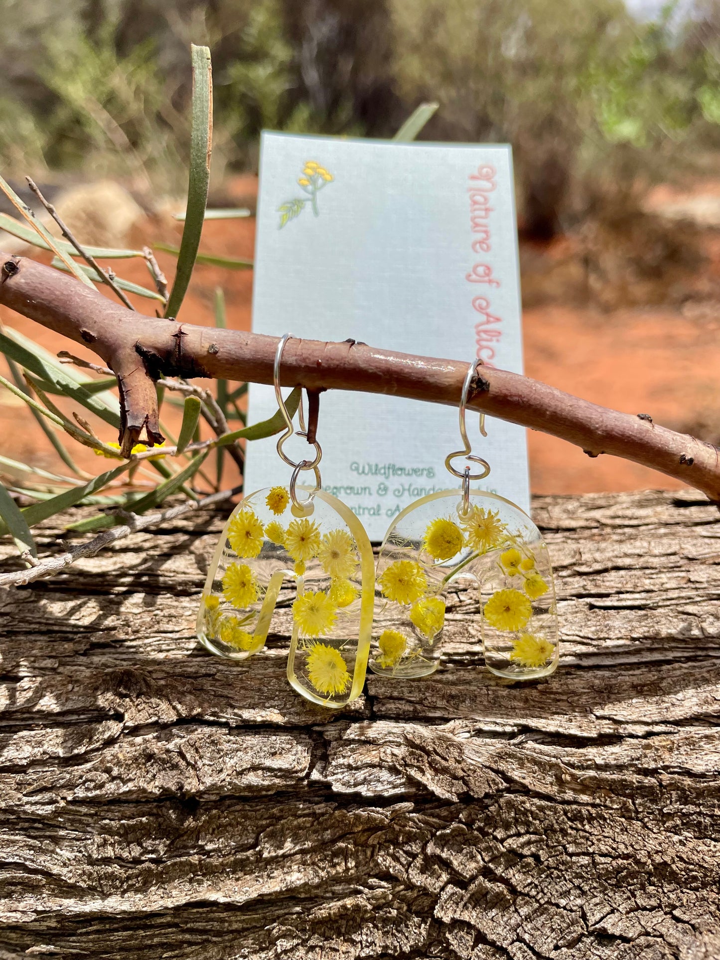 Yellow button, desert flame, earrings, silver, the red centre, Alice Springs, Central Australia, Northern Territory, inverted U shape