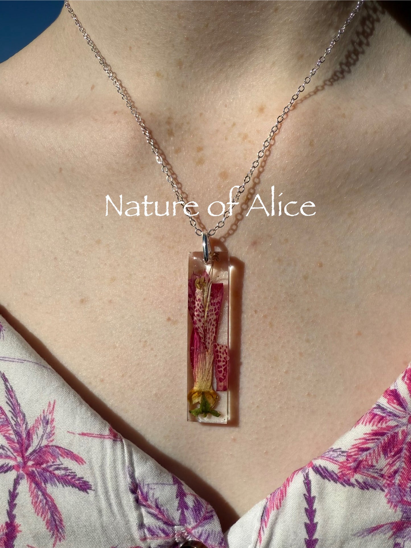 Eremophila - Emu Bush