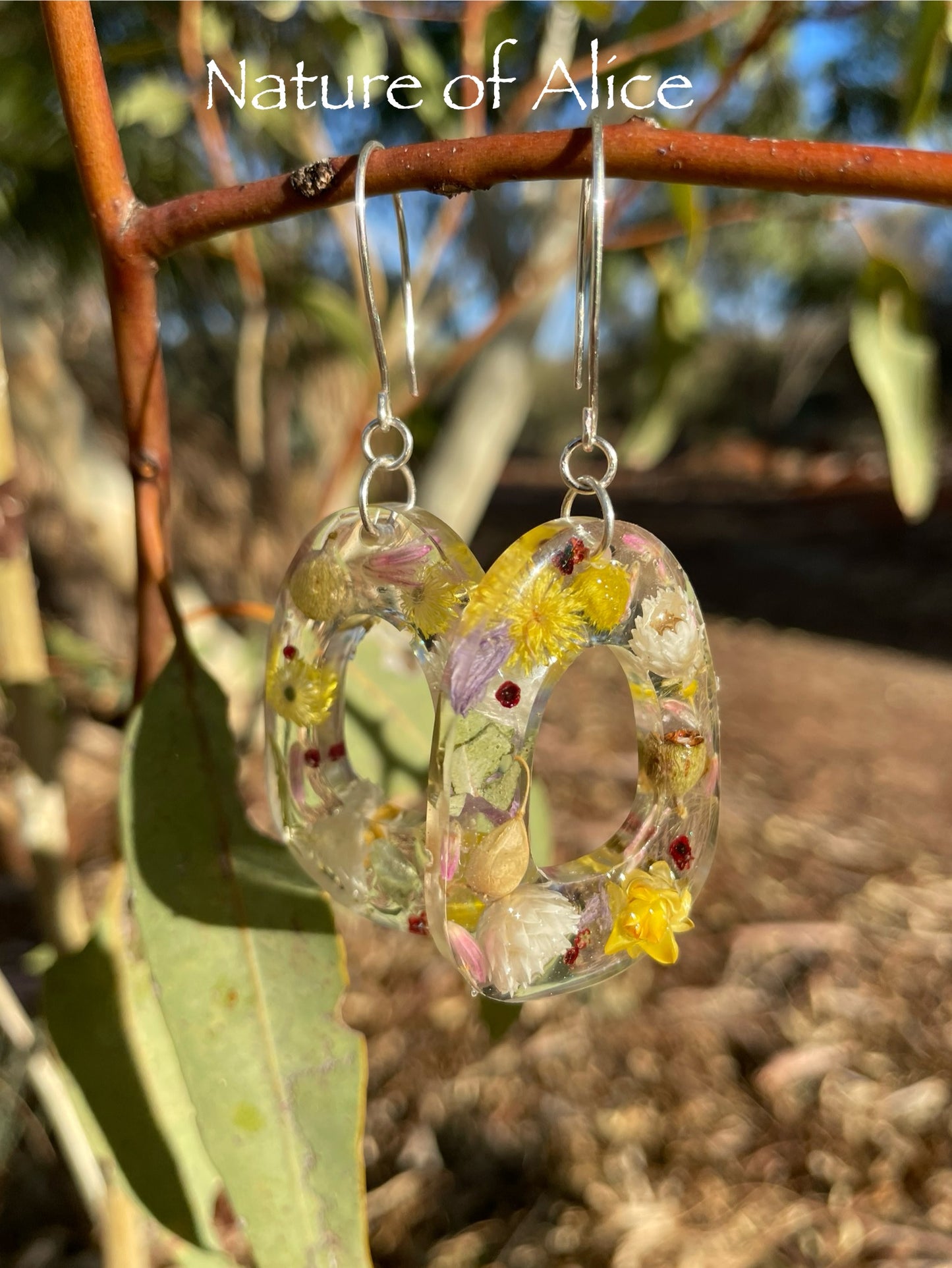 Central Australian Wildflower earrings - Oval