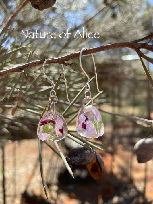 Sturt's Desert Rose