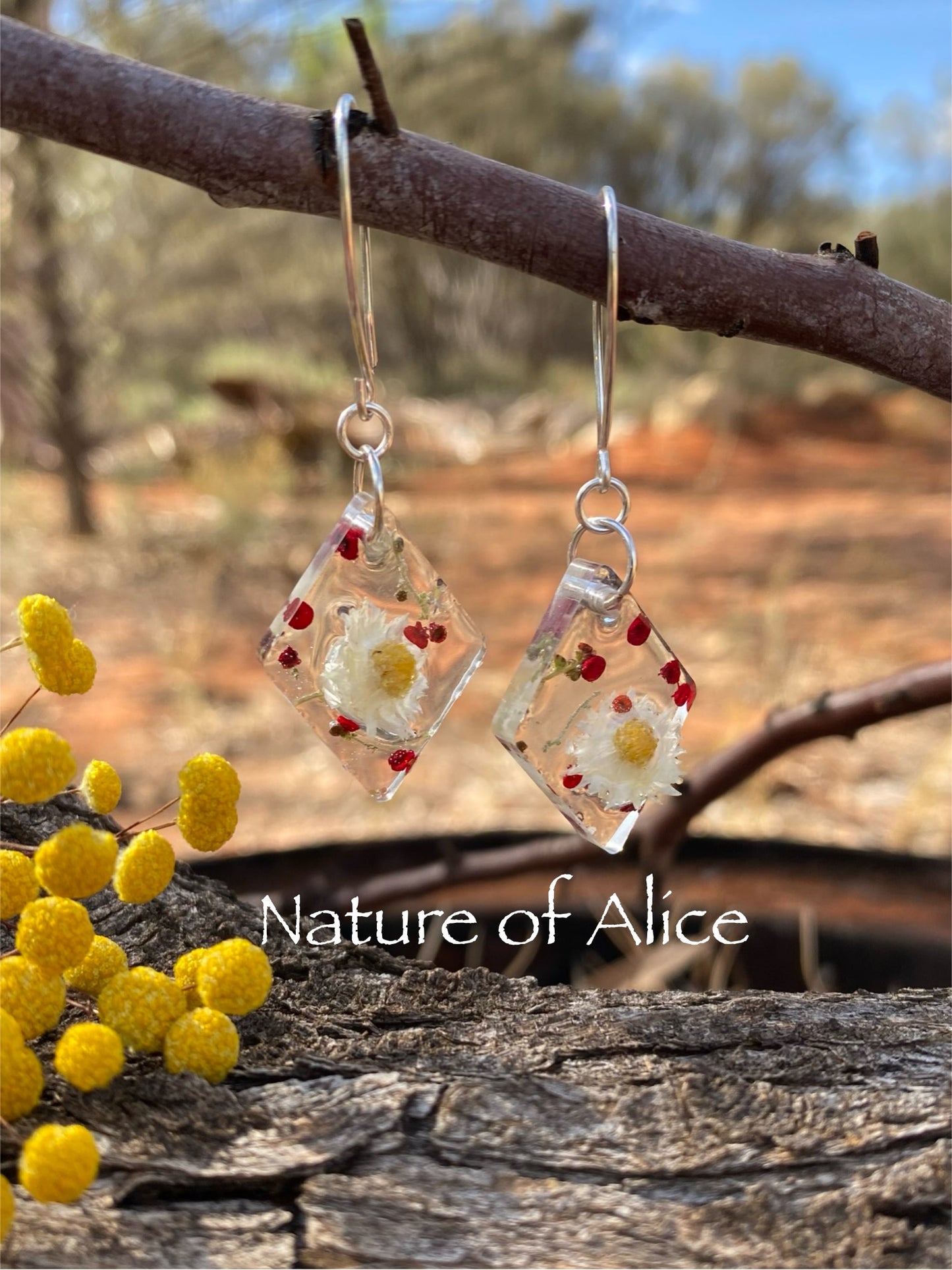 White Paper Daisy & Saltbush Berry Drop