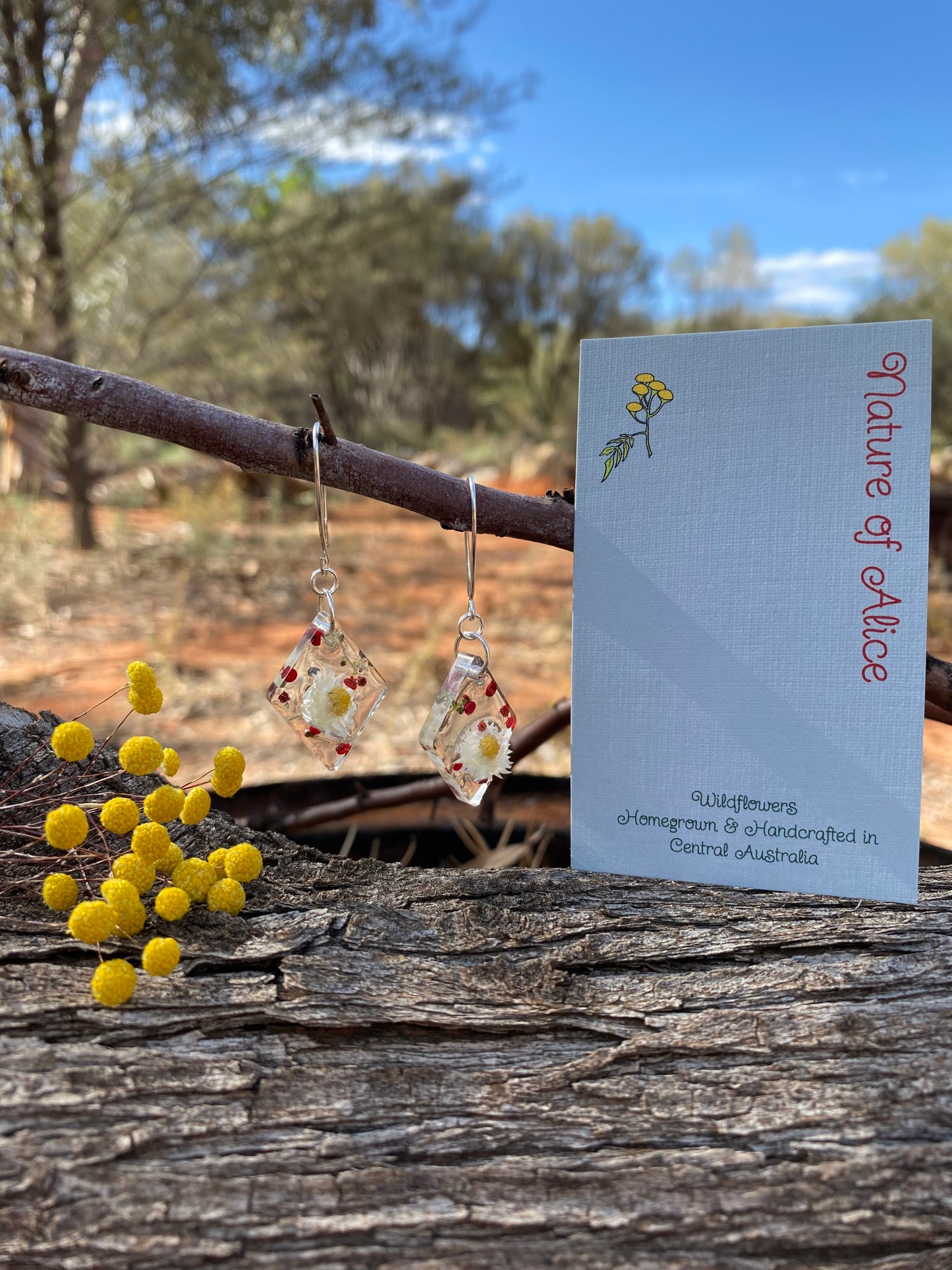 White Paper Daisy & Saltbush Berry Drop