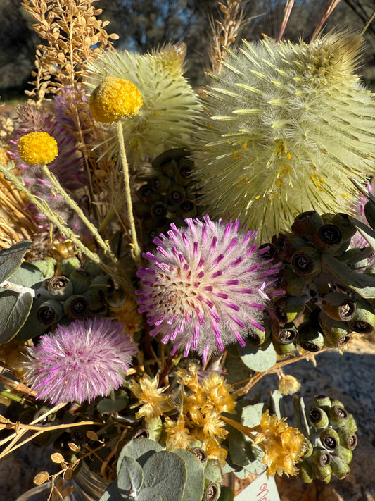 Wildflowers, red dirt, golden everlasting, mulla mulla, billy buttons, pink everlasting, native flowers,  Central Australian natives flowers, eucalyptus. 