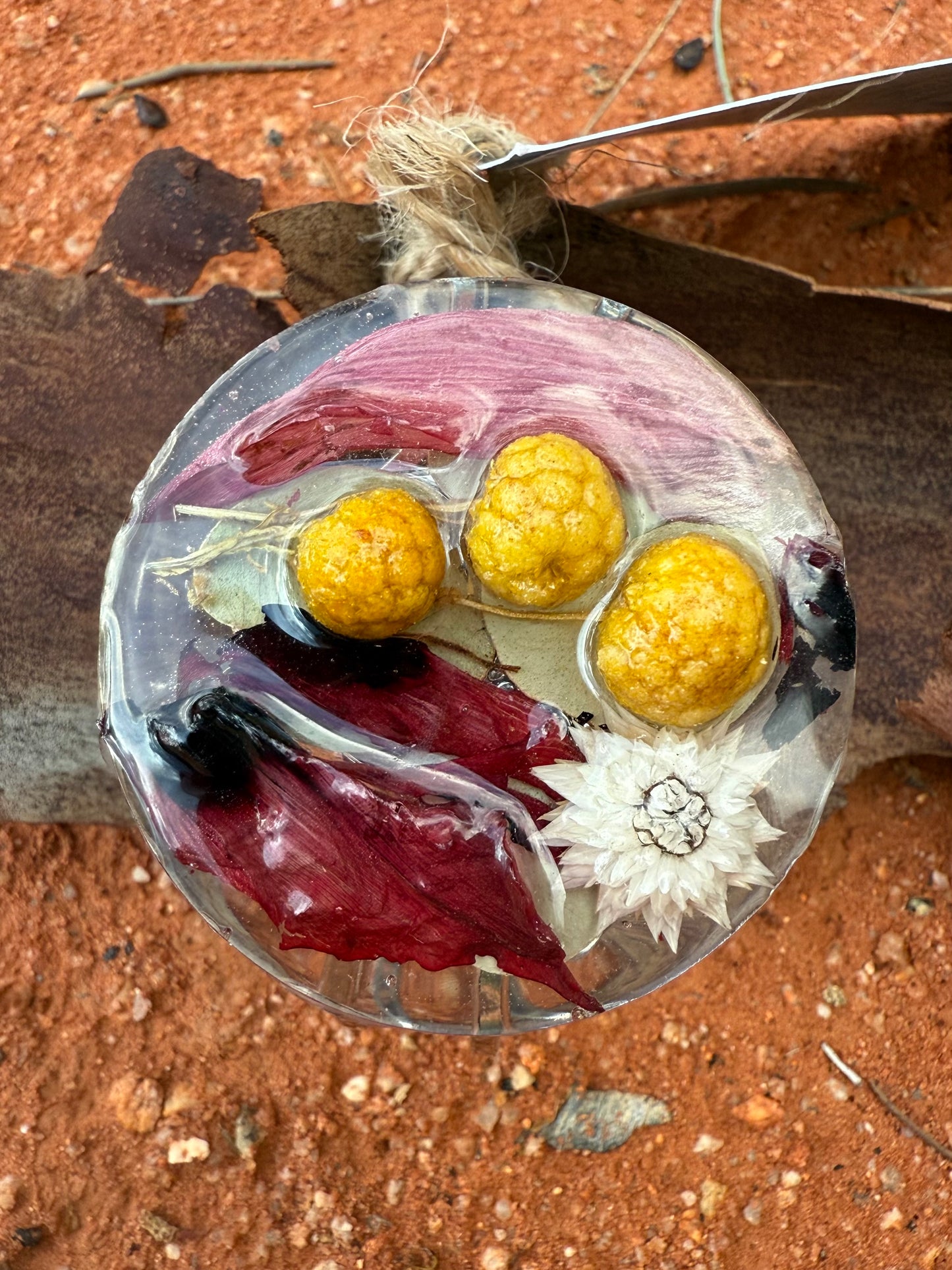 Sturt's Desert Pea & Billy Button Bangle