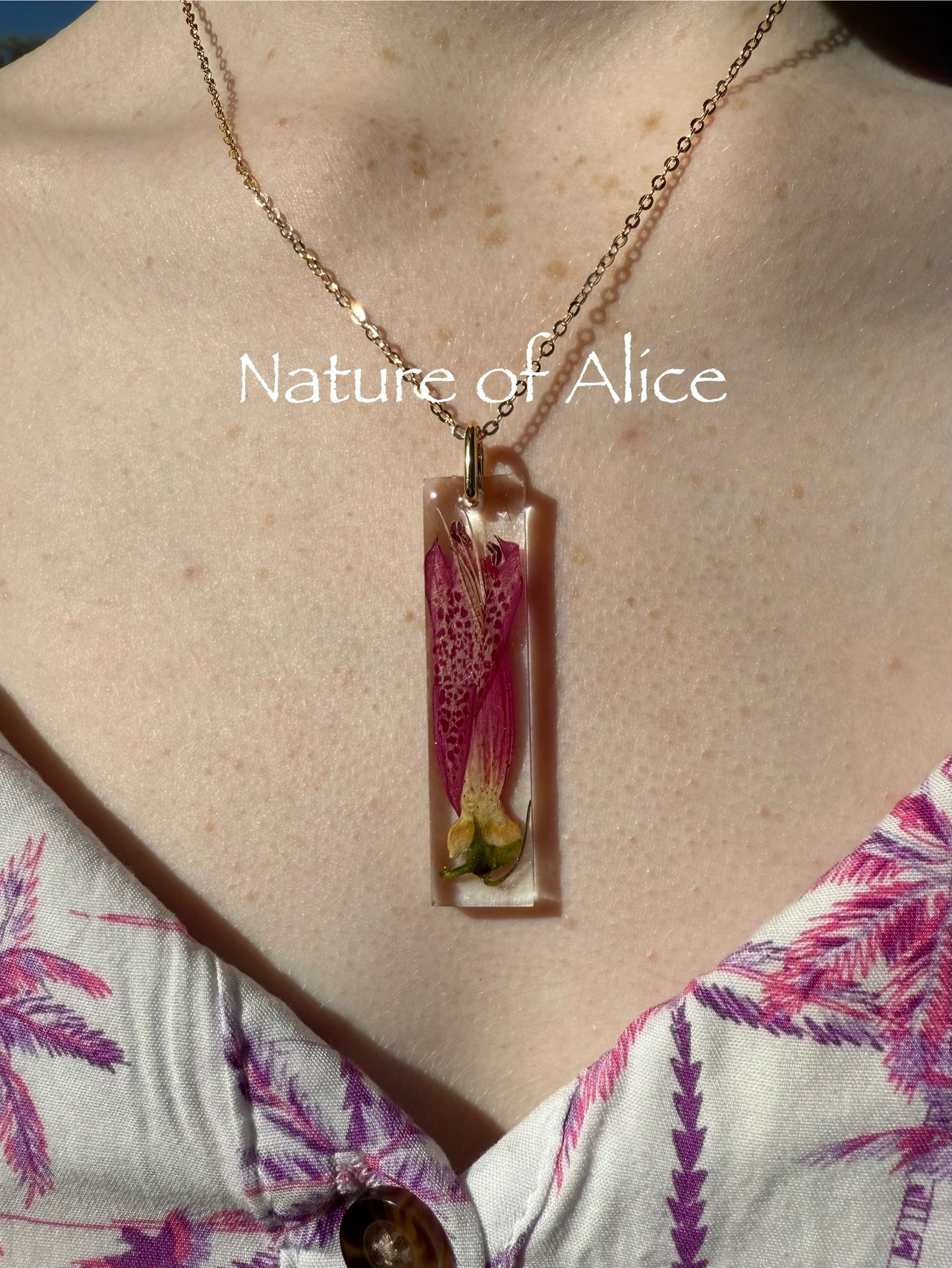 Eremophila - Emu Bush