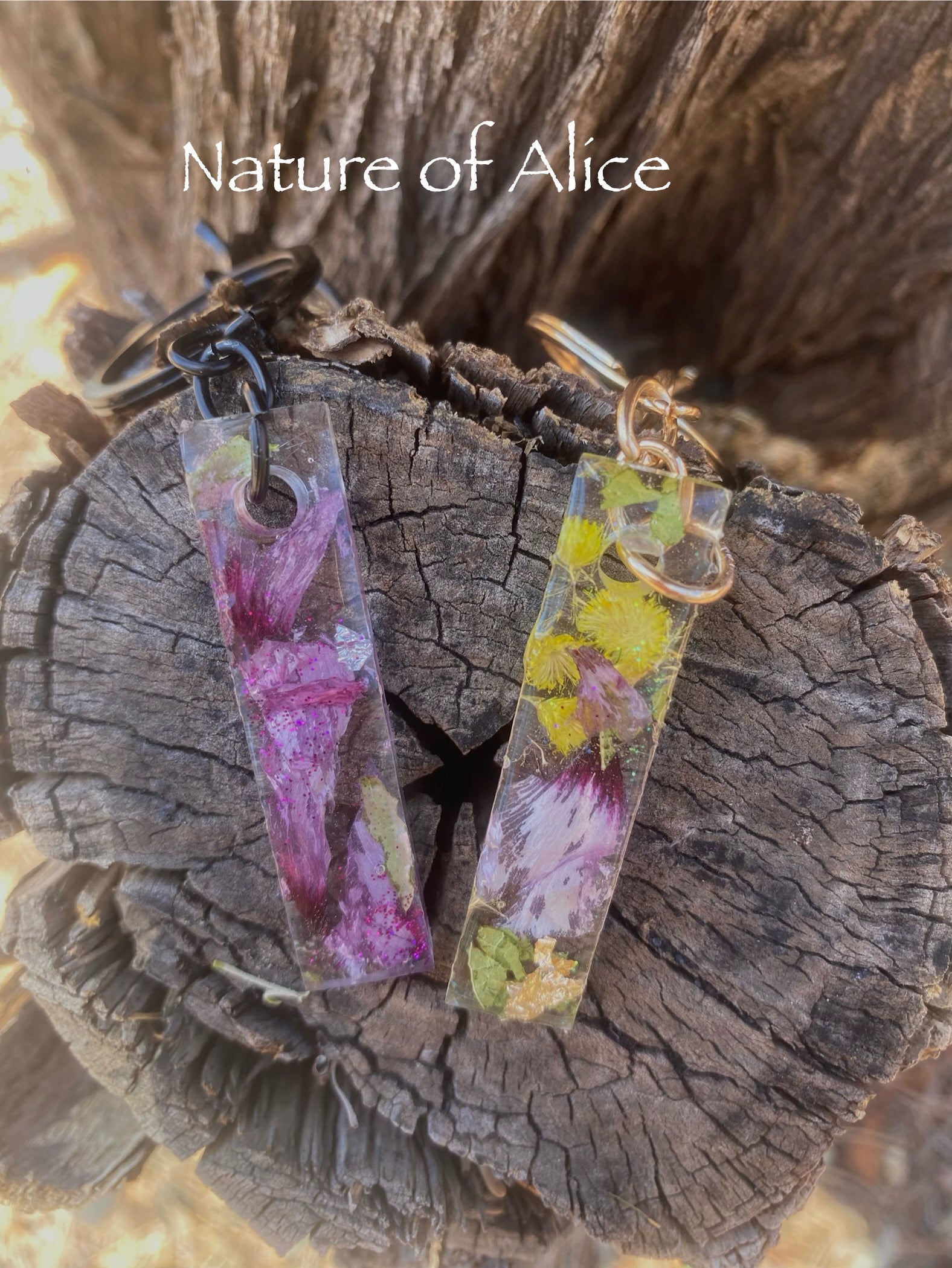 Wildflowers, keyring, keychain,white paper daisy, yellow button, Sturt's Desert Rose, eucalypt mallee, gold, red centre, Alice Springs, Northern Territory, Floral