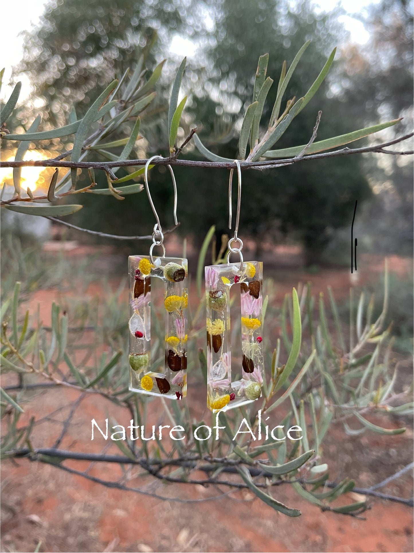 yellow button, desert cassia seed, senna, red saltbush berry, mallee eucalypt, white paper daisy, mulla, mulla, silver, earring hooks, Alice Springs, Central Australia, wildflowers, Northern Territory