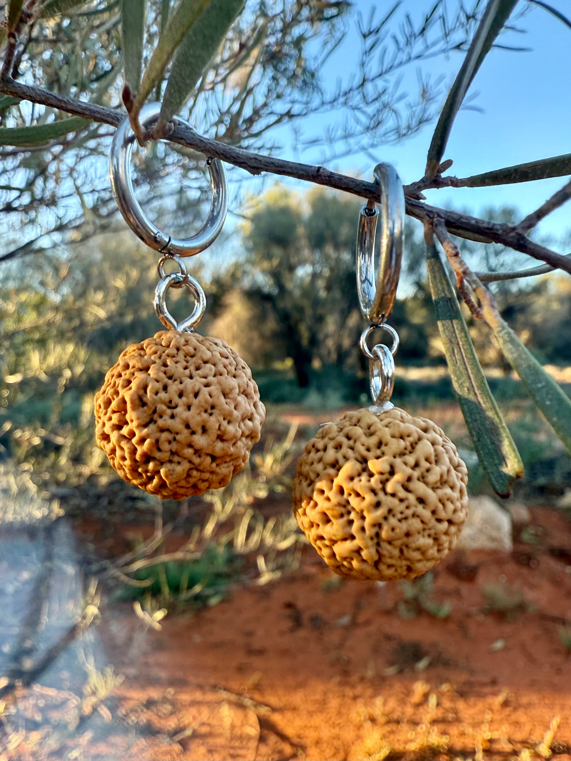 Quandong earrings, Alice Springs, Nature of Alice, Central Australia, Handmade
