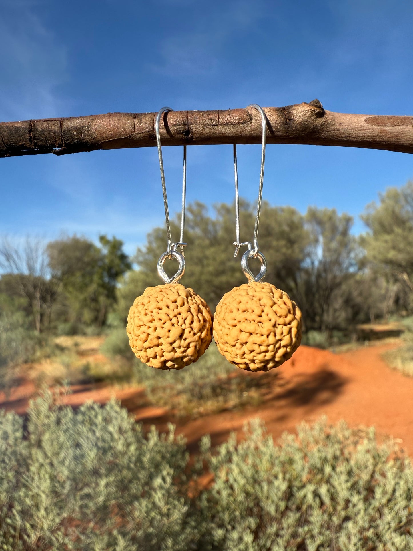 Quandong Earrings