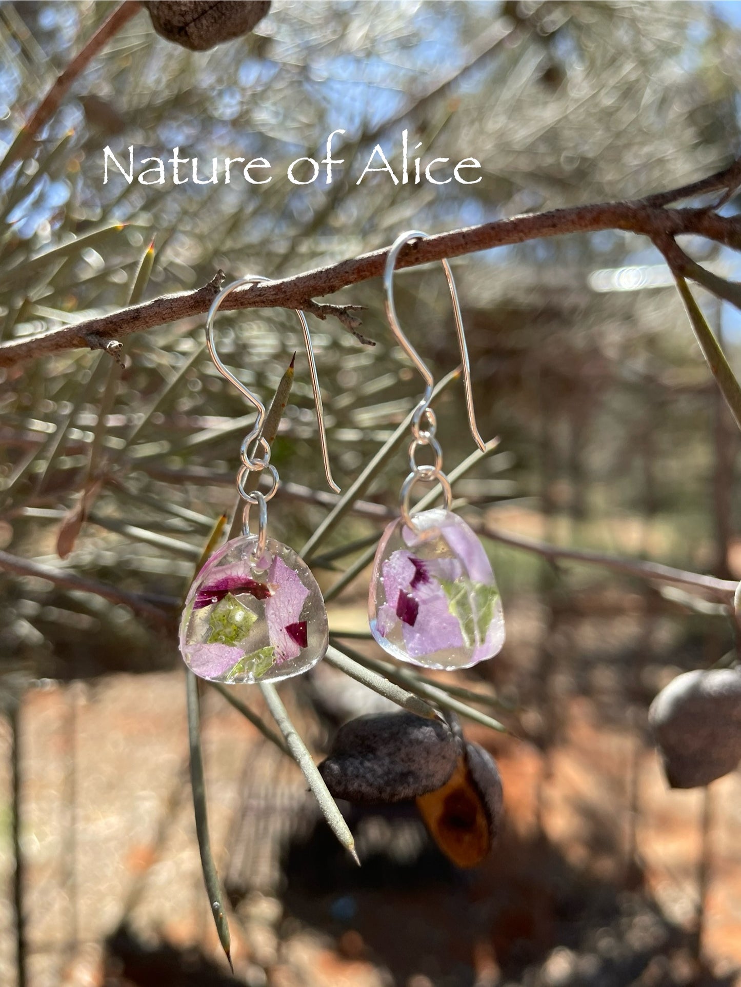 A pair of earrings featuring the Sturt's Desert Rose design, displayed against a natural outdoor backdrop.