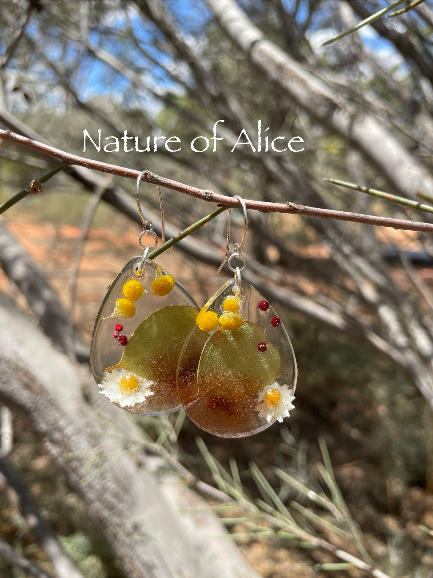 The Red Centre earrings, teardrop, Australian Sterling Silver 925 heart leaf mallee eucalypt, white paper daisy, billy button, nodding saltbush berry, red dirt, Alice Springs, Central Australia.