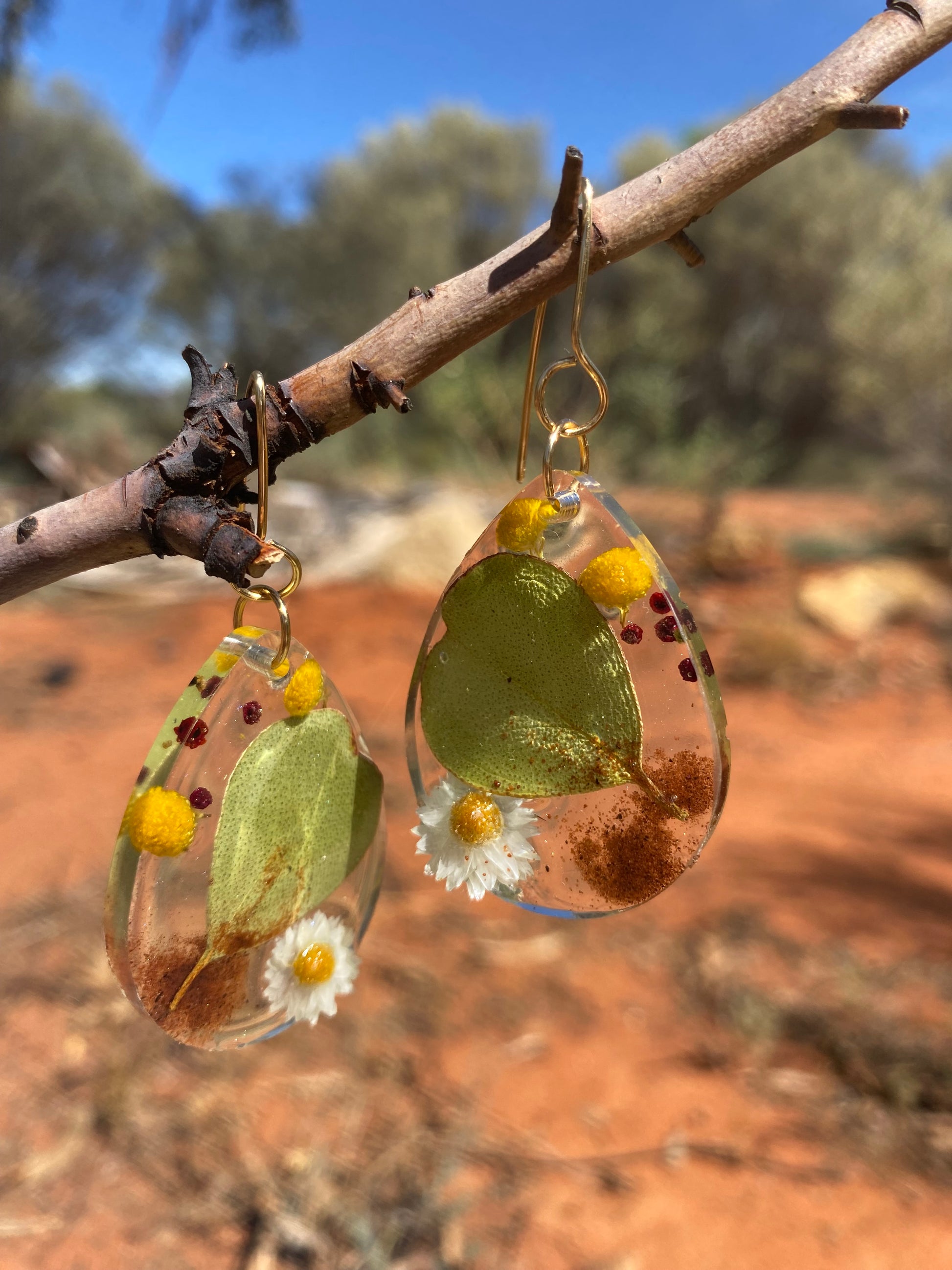 The Red Centre earrings, desert, teardrop, gold, heart leaf mallee eucalypt, white paper daisy, billy button, nodding saltbush berry, red dirt, Alice Springs, Central Australia.