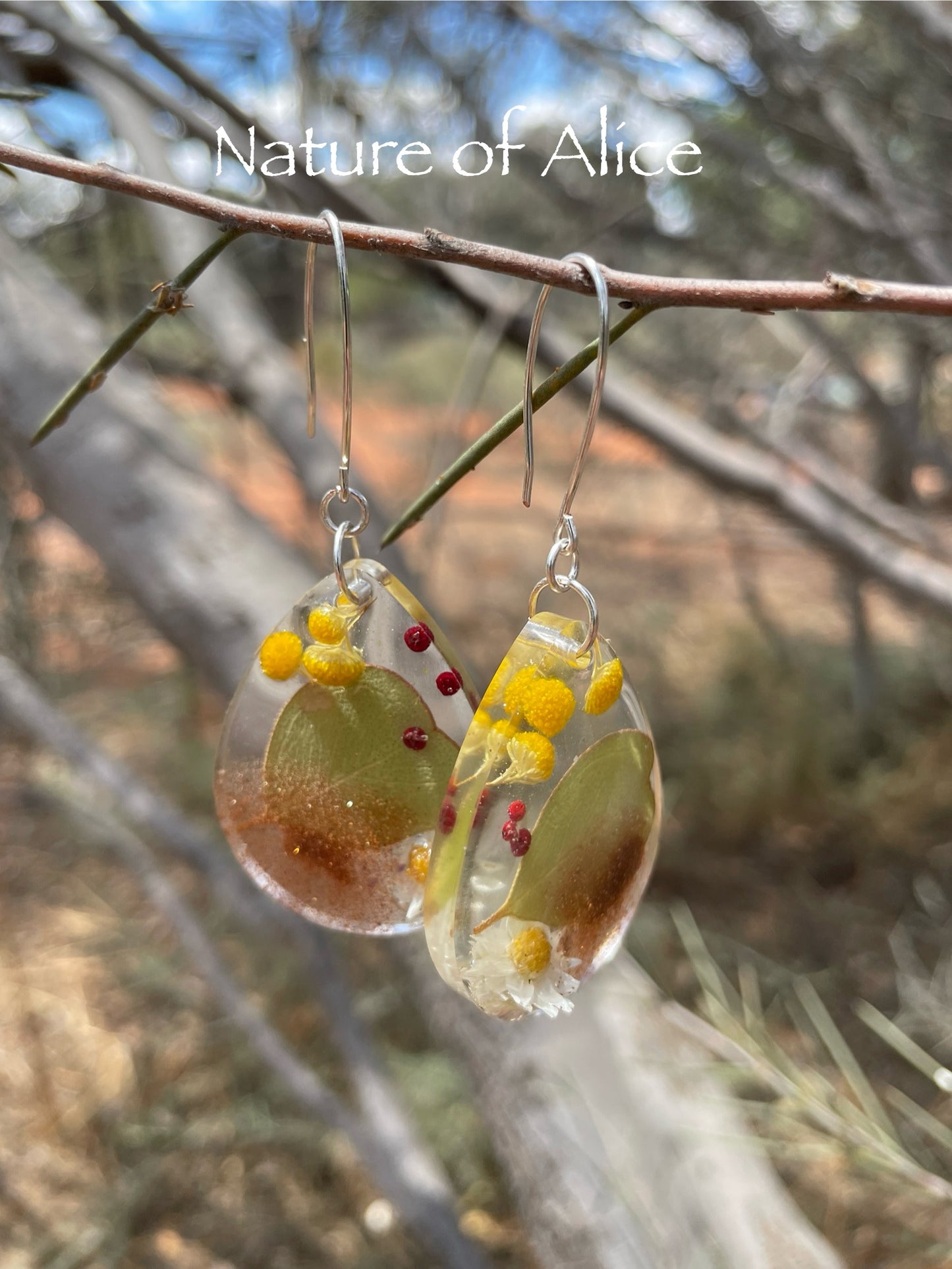 The Red Centre earrings, teardrop, silver, heart leaf mallee eucalypt, white paper daisy, billy button, nodding saltbush berry, red dirt, Alice Springs, Central Australia.