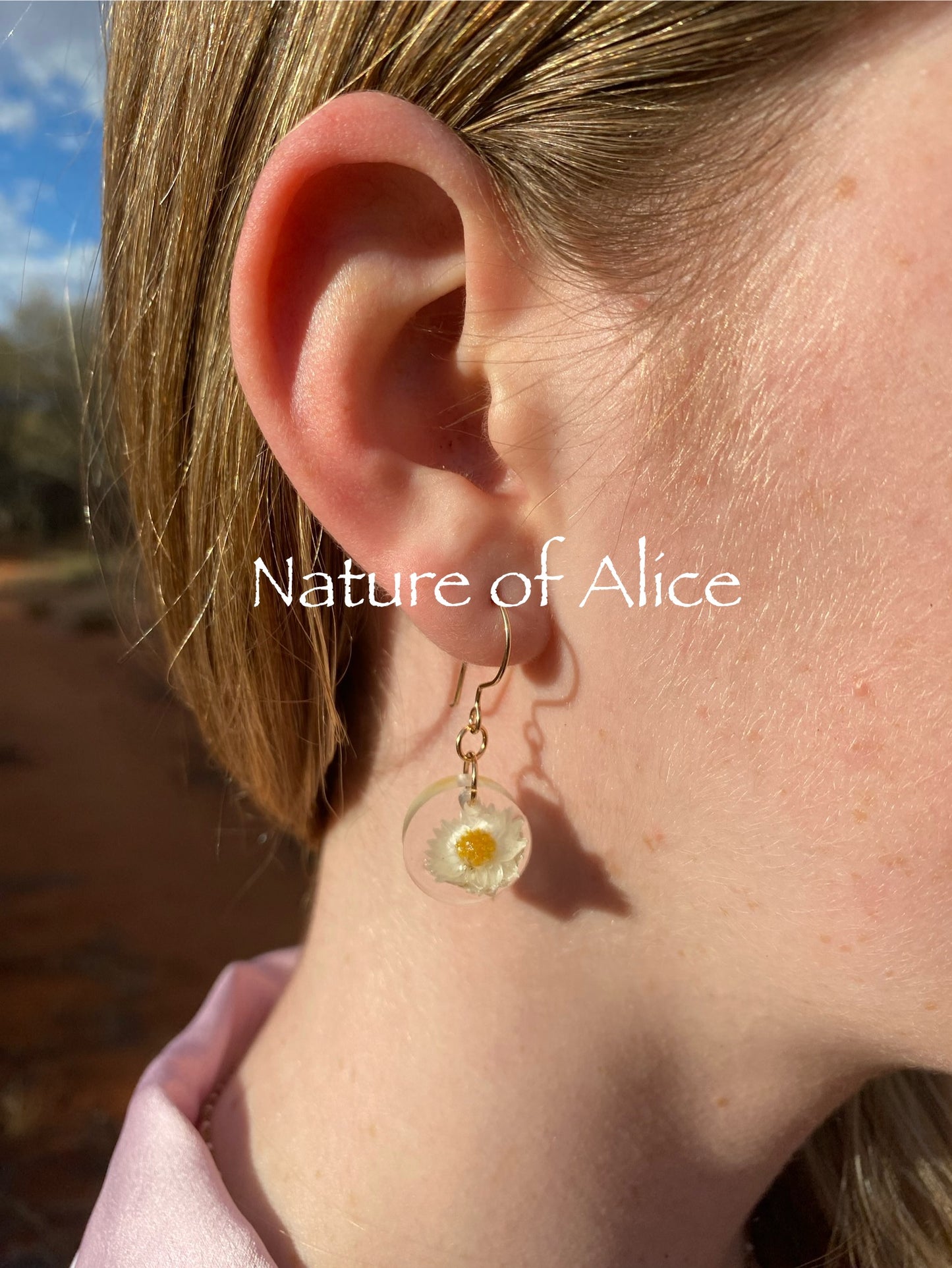 White Paper Daisy, white, wildflower, Central Australia, the Red Centre, Alice Springs, Northern Territory, 14ct gold filled hooks.