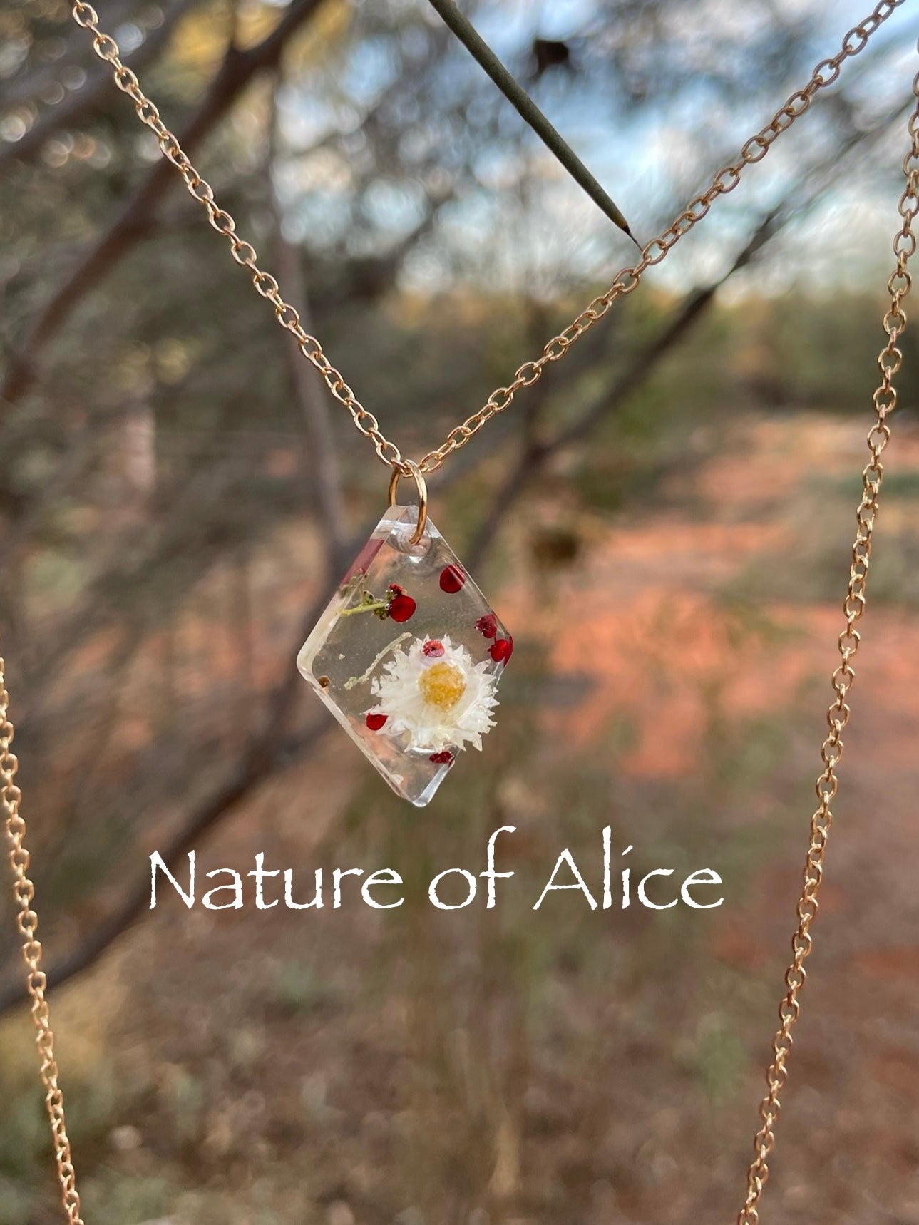 Pendant, necklace, silver, white paper daisy, nodding saltbush, native wildflowers, Alice Springs, Central Australia, bush