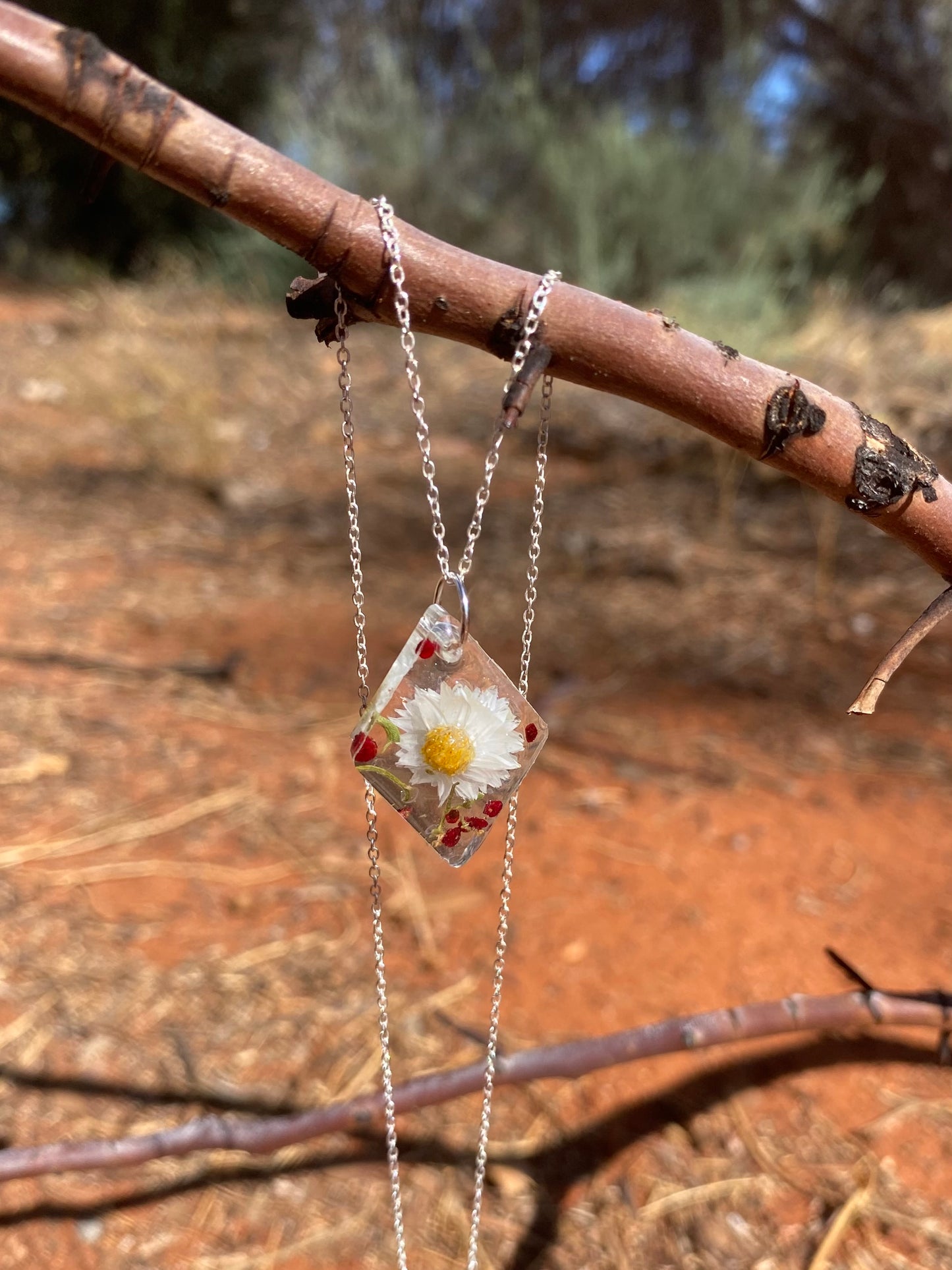 Pendant, necklace, silver, white paper daisy, nodding saltbush, native wildflowers, Alice Springs, Central Australia, bush