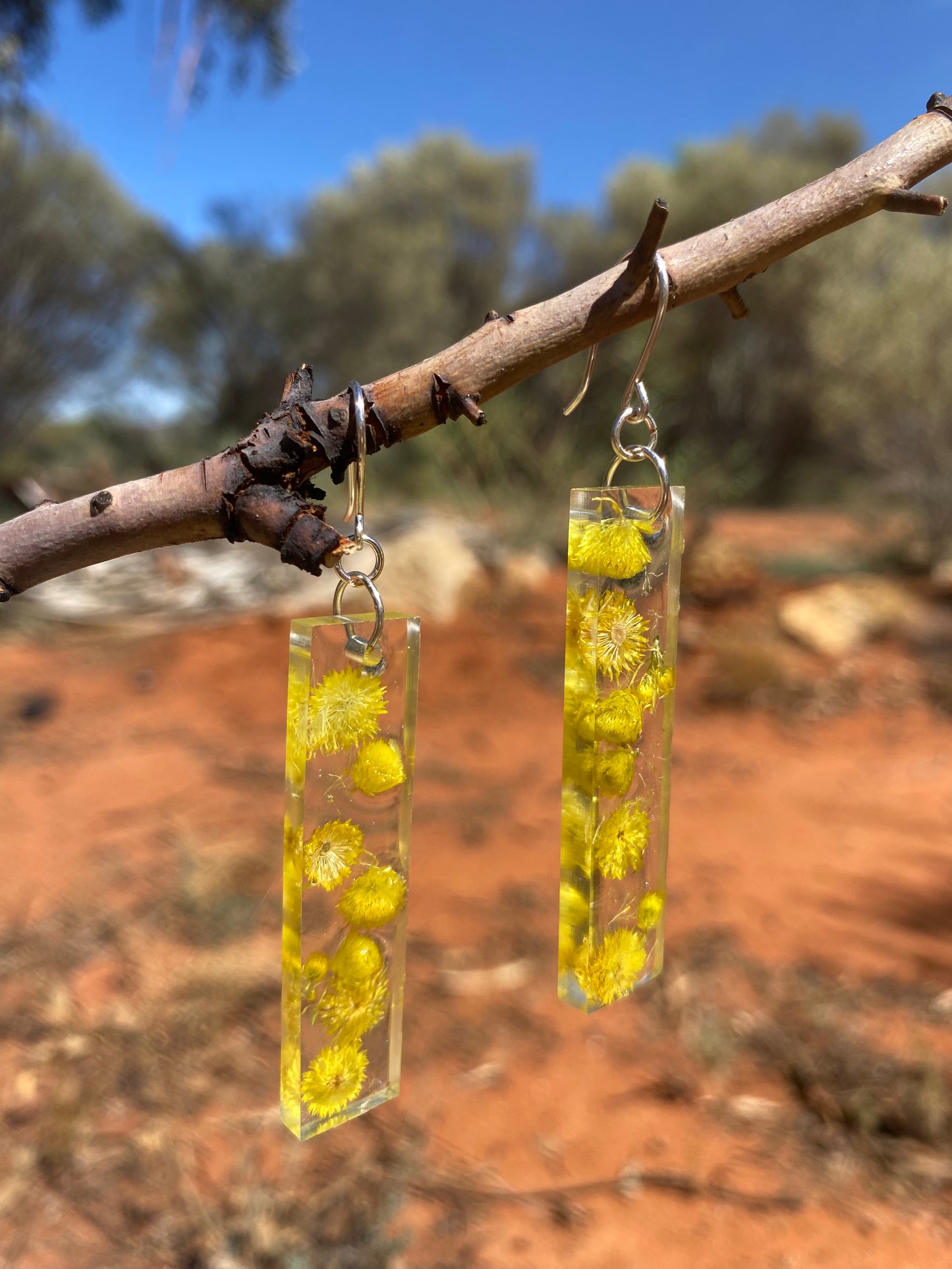 Yellow button, desert flame, earrings, silver, the red centre, Alice Springs, Central Australia, Northern Territory
