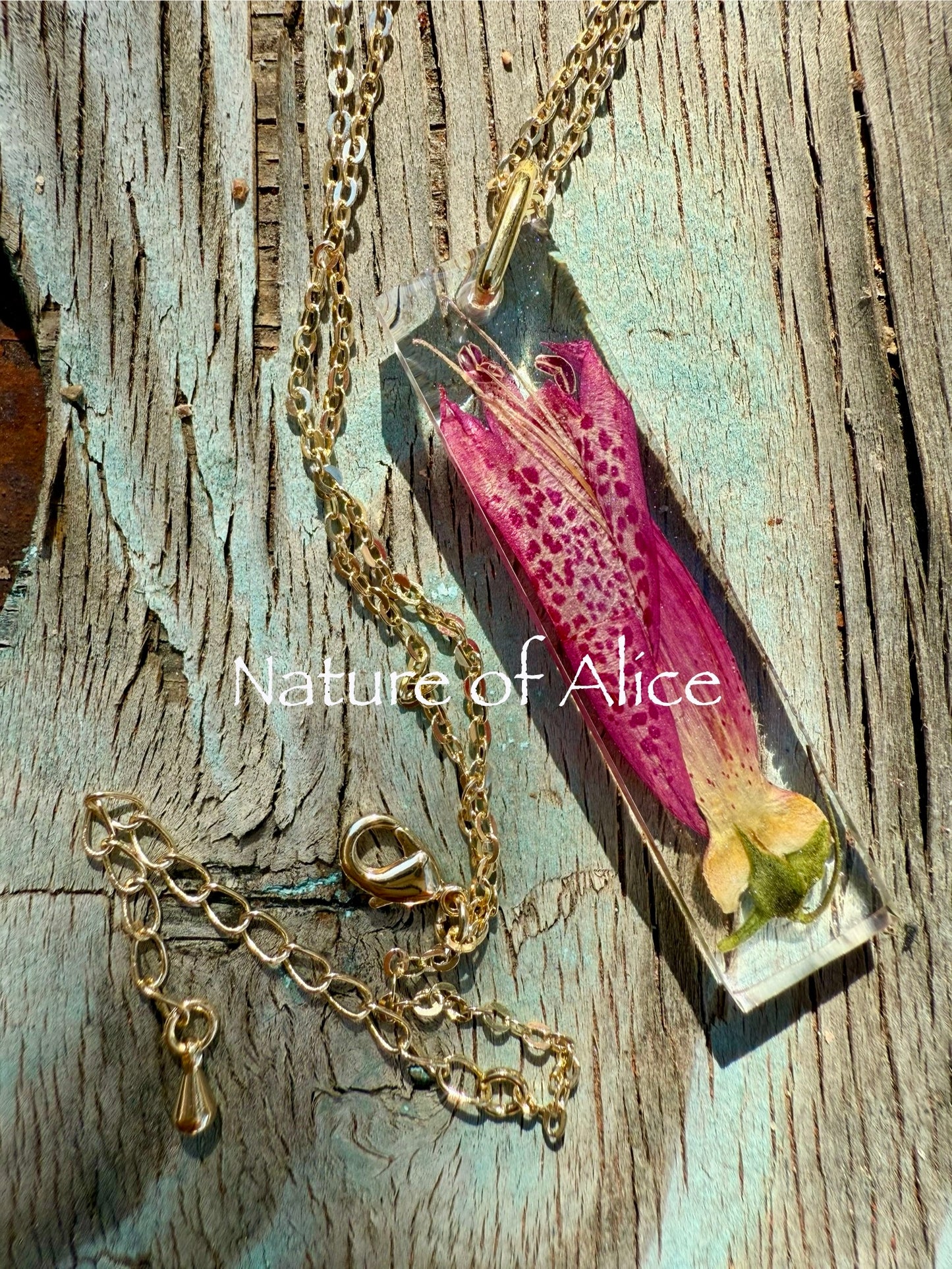 Eremophila - Emu Bush