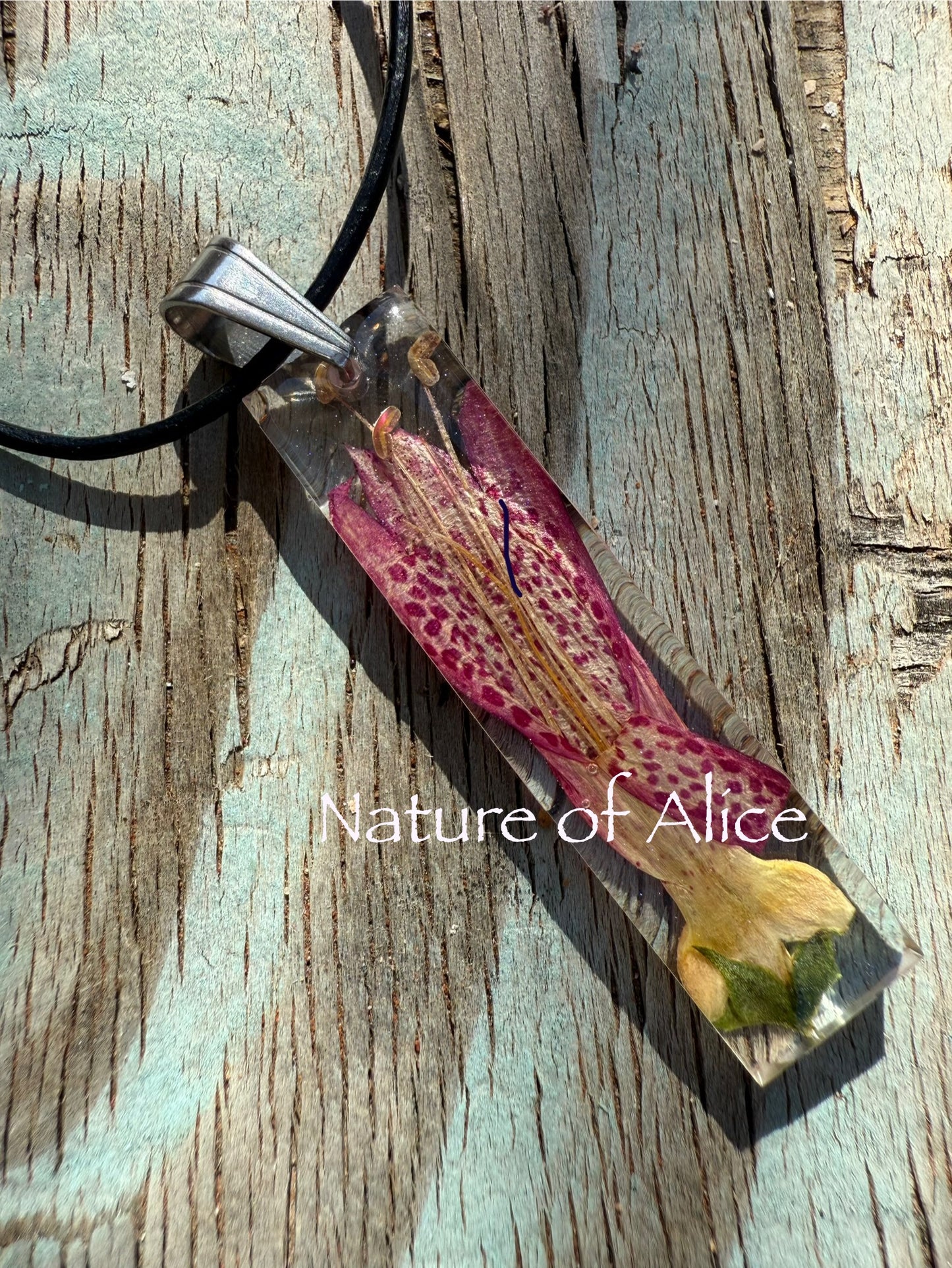 Eremophila - Emu Bush